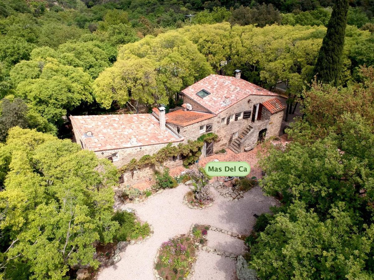 Bed and Breakfast Mas Del Ca Adult Only Sorède Esterno foto